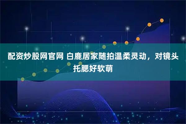 配资炒股网官网 白鹿居家随拍温柔灵动，对镜头托腮好软萌