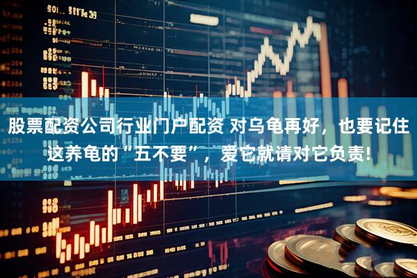 股票配资公司行业门户配资 对乌龟再好，也要记住这养龟的“五不要”，爱它就请对它负责!